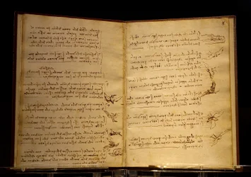 Codex on the Flight of Birds